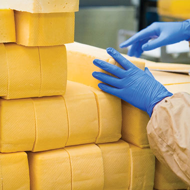 Un trabajador apila bloques de queso en una planta de productos lácteos. En el sector   lácteo, los analizadores de TOC pueden facilitar el monitoreo de residuos orgánicos en el efluente y la reducción de la pérdida de producto.